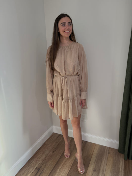 Champagne Nights Dress